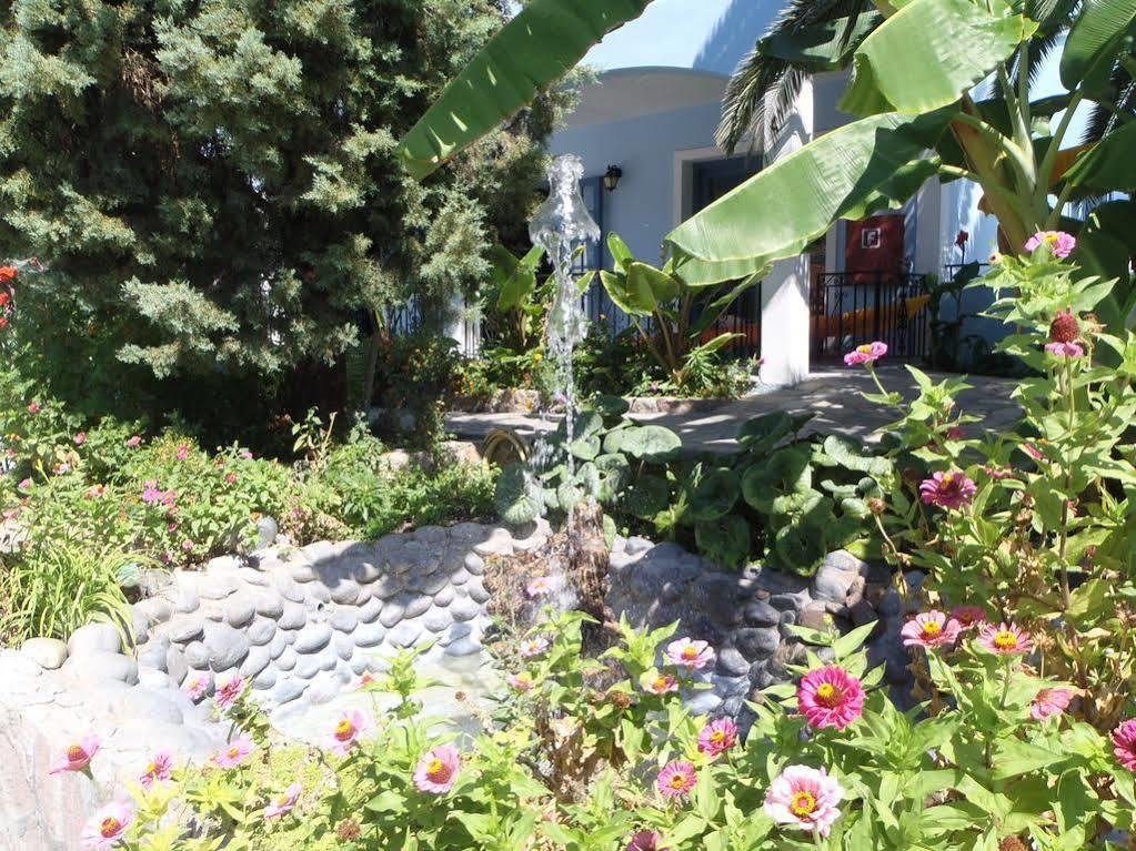 Blue Sky Hotel - Petra - Lesvos - Greece Ngoại thất bức ảnh